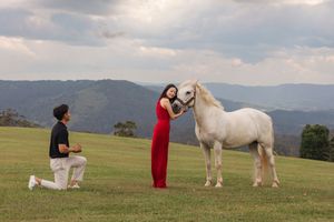 A white horse and people gather in a grassy field with mountains in the distance.