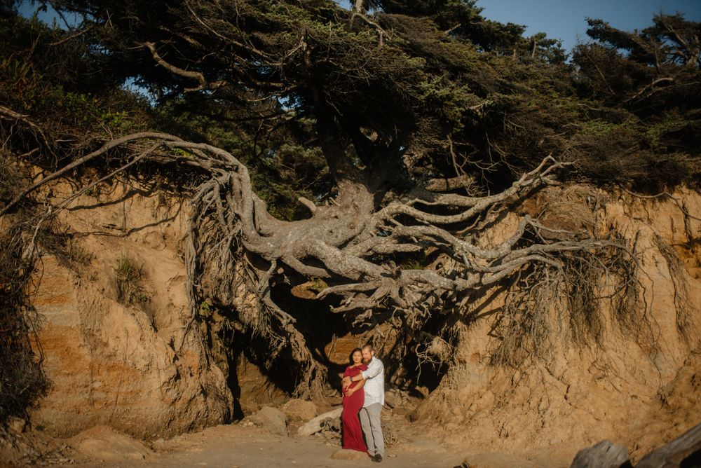 Couple poses beneath dramatic exposed tree roots on beach cliff wall.