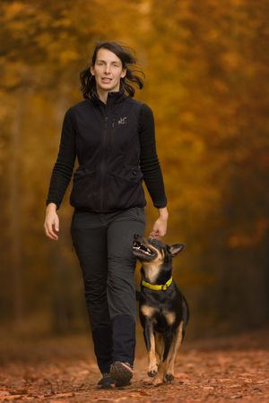 A dog looks up attentively at their walking companion on an autumn forest trail.