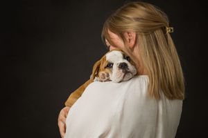 A small bulldog puppy rests peacefully against a white sweater in a studio portrait.