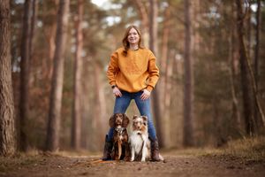 Two dogs pose with their companion on a forest path during autumn.