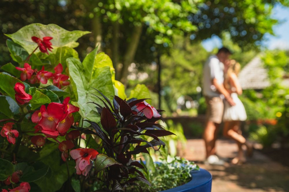 engagement shoot in lewes delaware