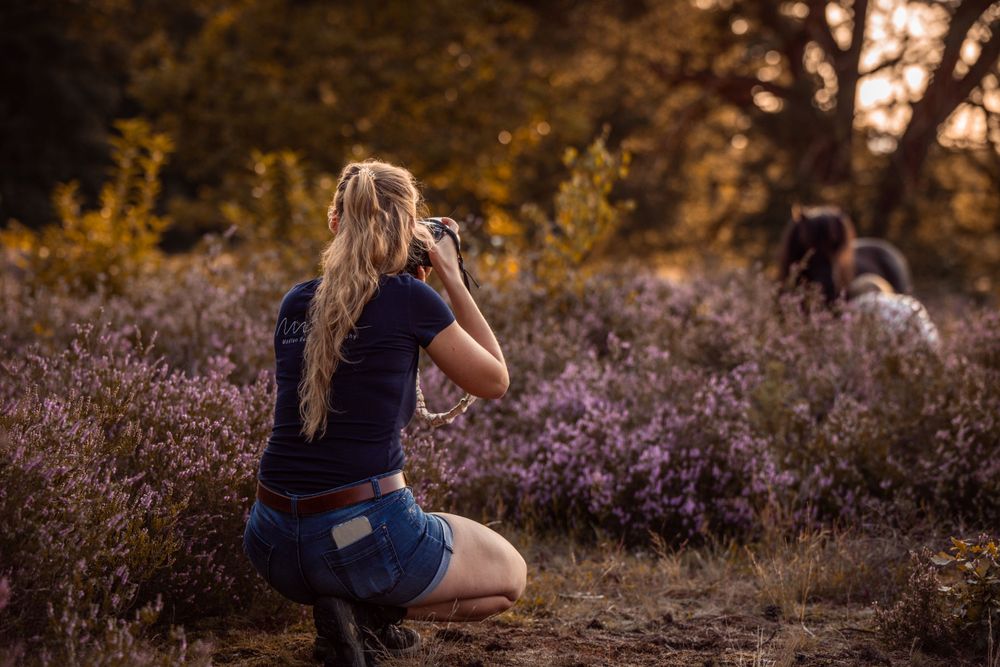 Fotoshooting in der Heideblüte