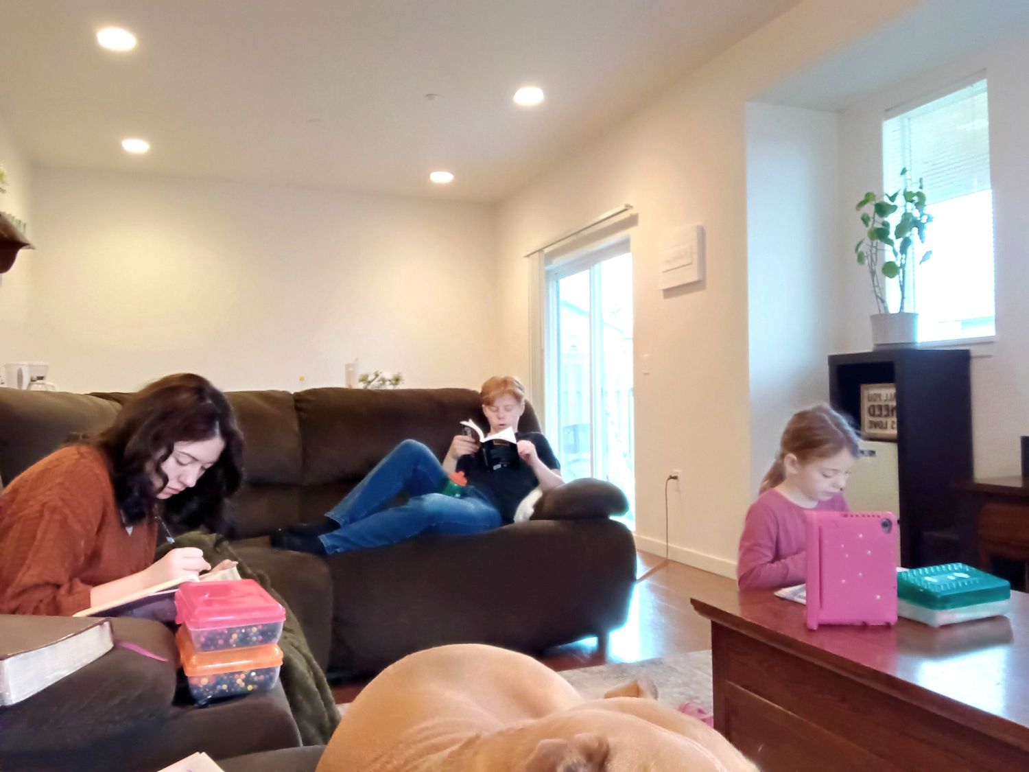 People sleeping in various rooms on couches and beds during a relaxing afternoon.