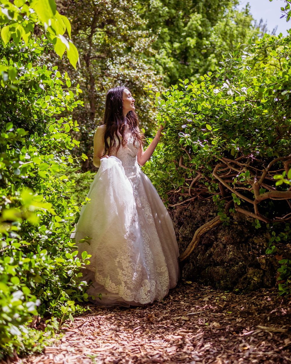 Sunlit garden scene with flowing white wedding dress among green foliage.
