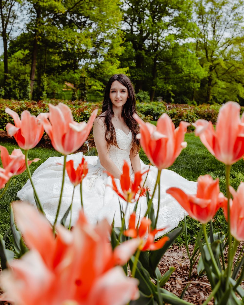 White wedding dress contrasts beautifully with blooming coral tulips in a spring garden.
