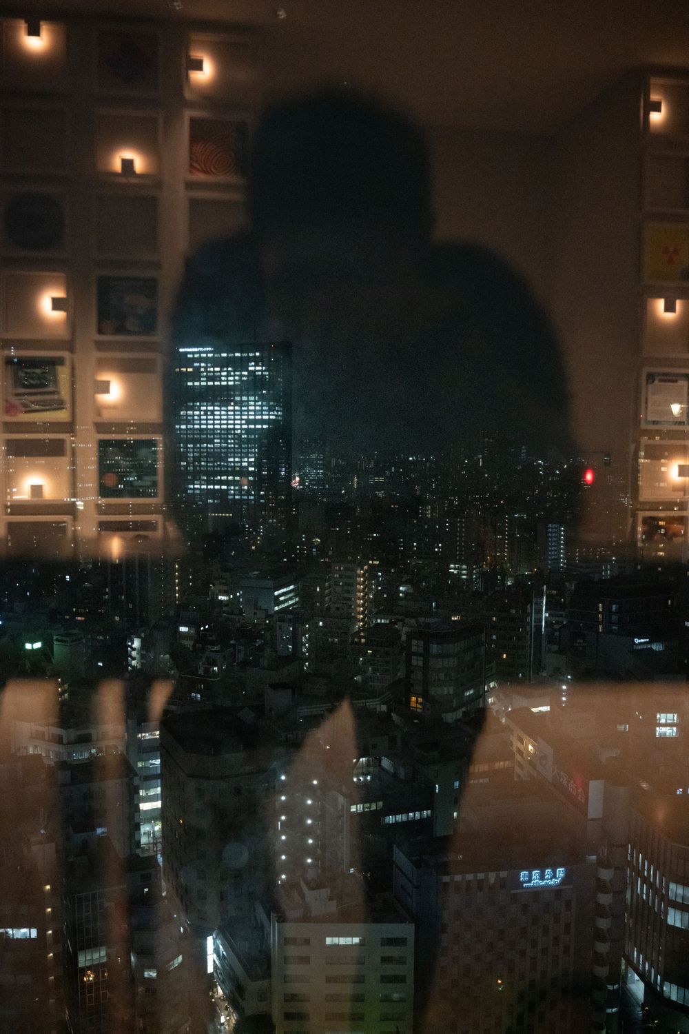 Silhouetted figure against window overlooking city skyline at night.