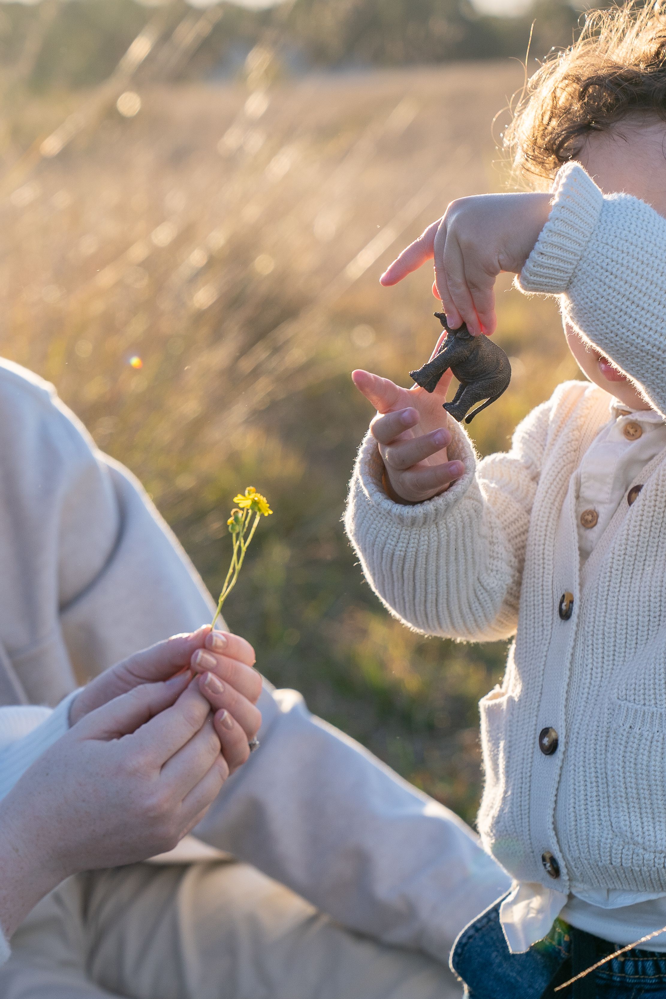 Toddler observes an elephant toy while the mother holds a yellow flower for a family photo shoot at Rouse Hill Regional Park, Sydney.