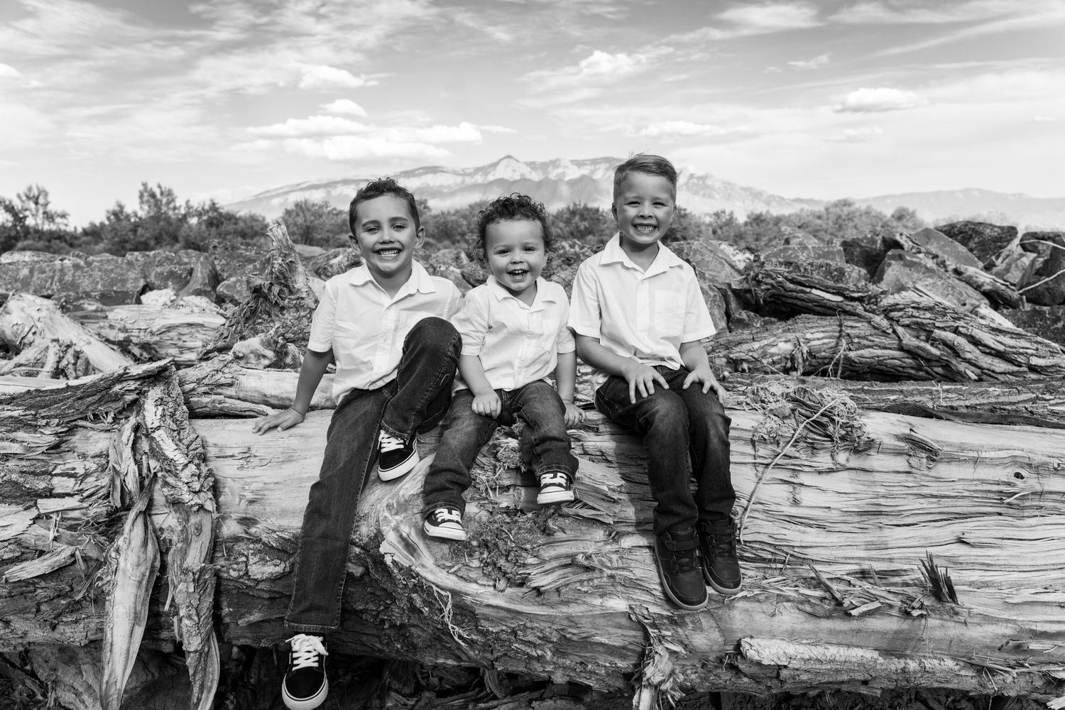 Black and white photo of three children sitting on driftwood with mountains in background.