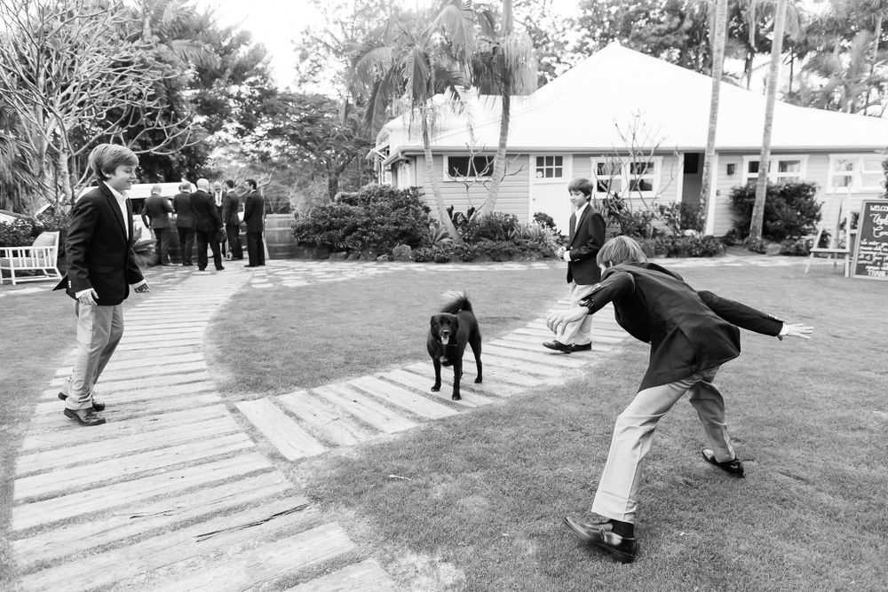 Playful moment with a black dog during outdoor wedding festivities.