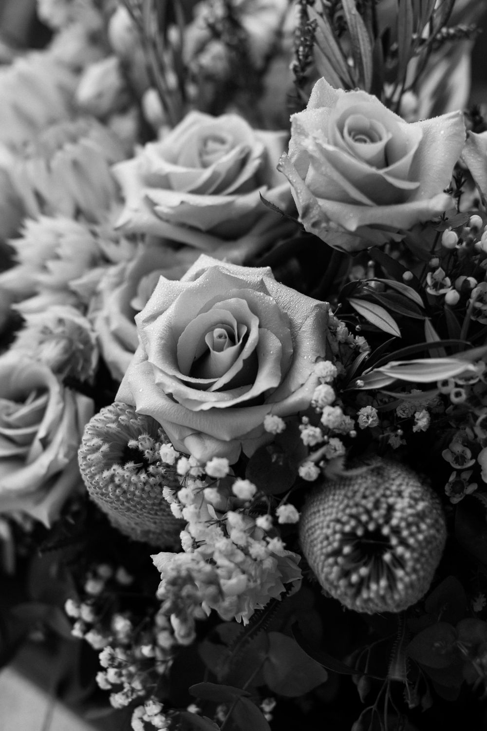 Close-up of elegant black and white roses with baby's breath in a romantic floral arrangement.