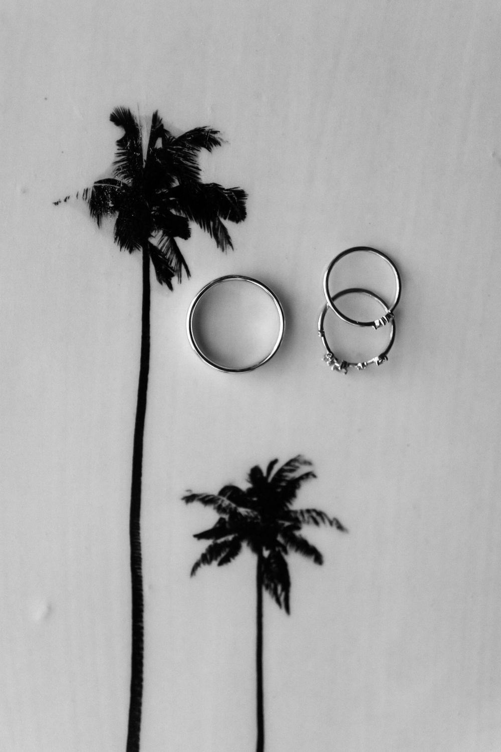 Wedding rings artistically photographed with palm tree silhouettes in black and white.