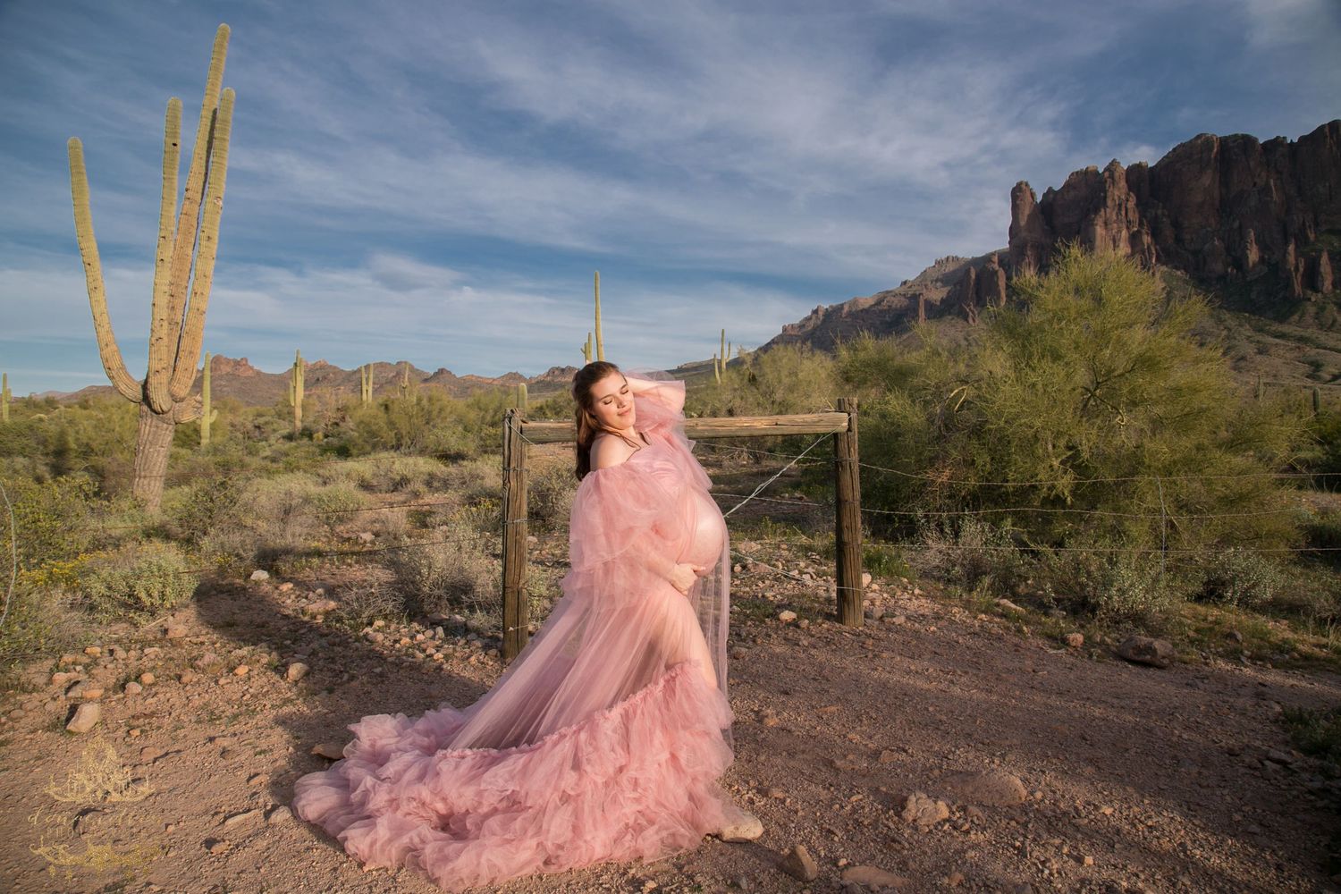 Pregnant woman in pink tulle maternity gown poses in Arizona desert with saguaro cacti.