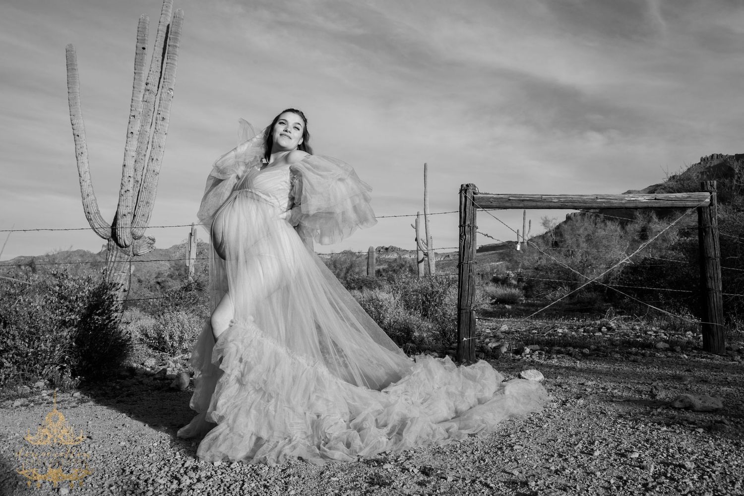 Black and white photo of pregnant woman in flowing tulle gown in Arizona desert landscape.