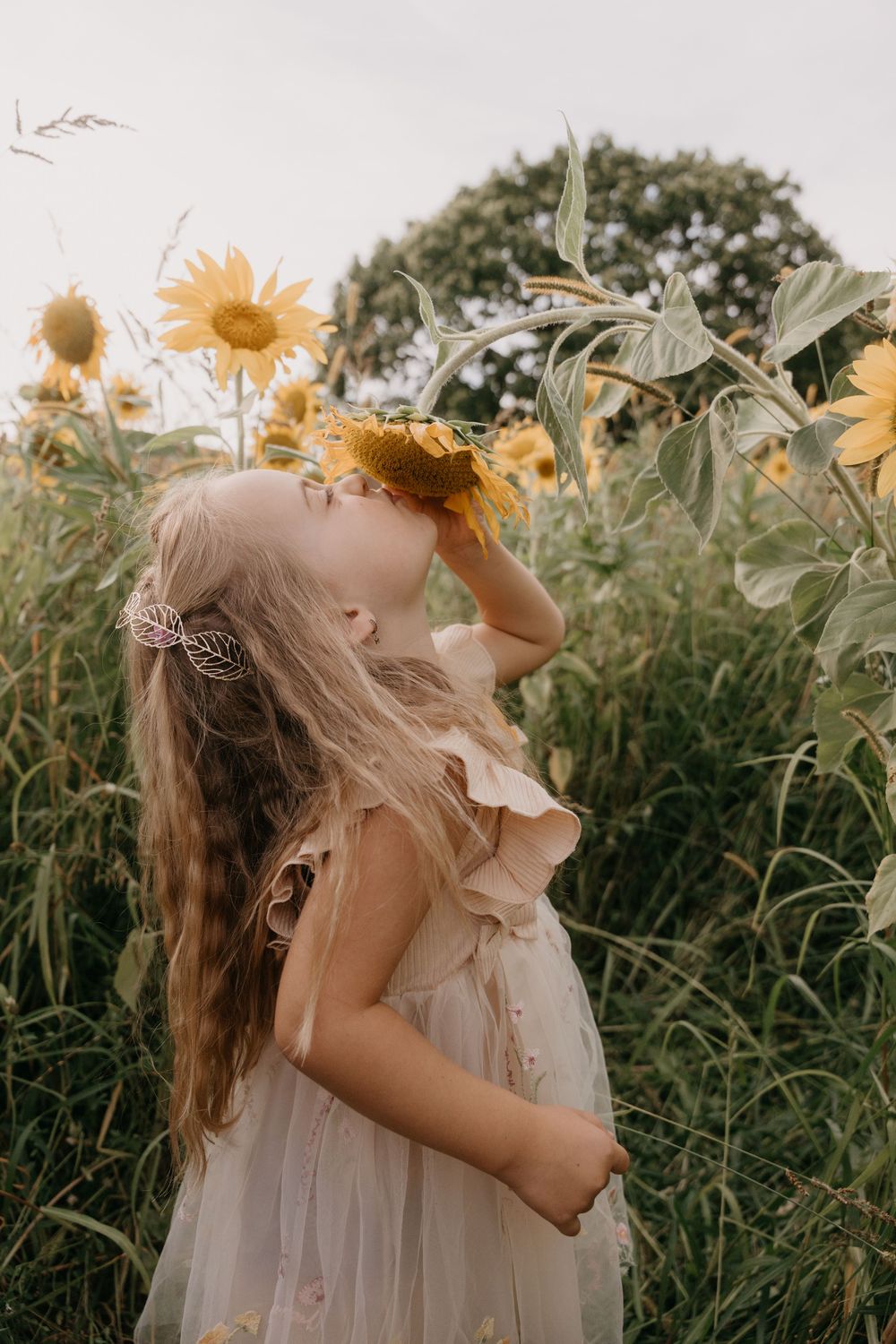 A dreamy ethereal scene of someone in a flowy white dress amongst blooming sunflowers in a garden.