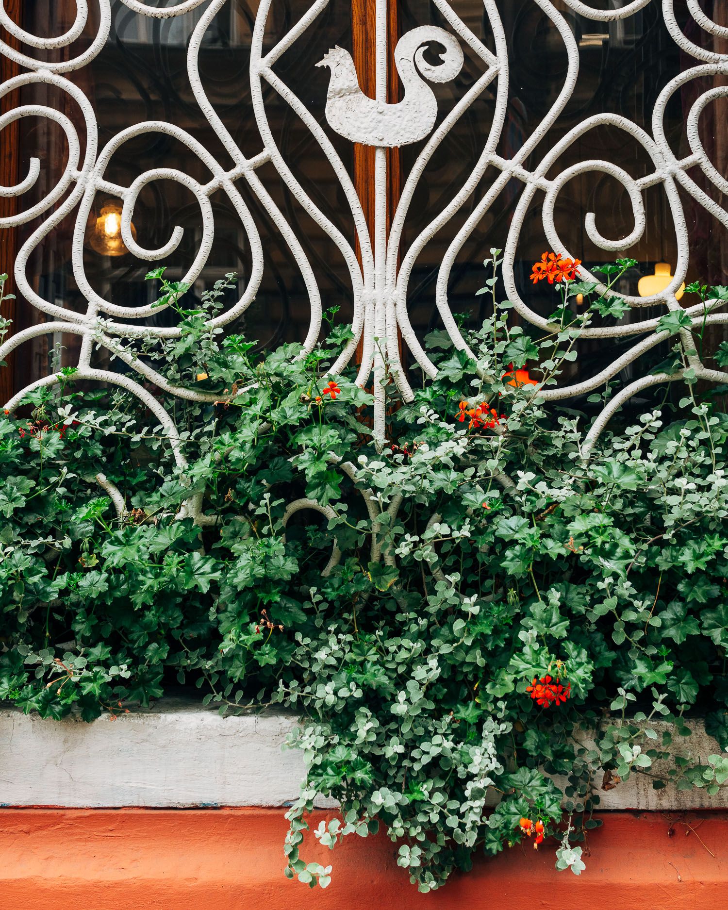 Ornate wrought iron fence with climbing green plants and red flowers.