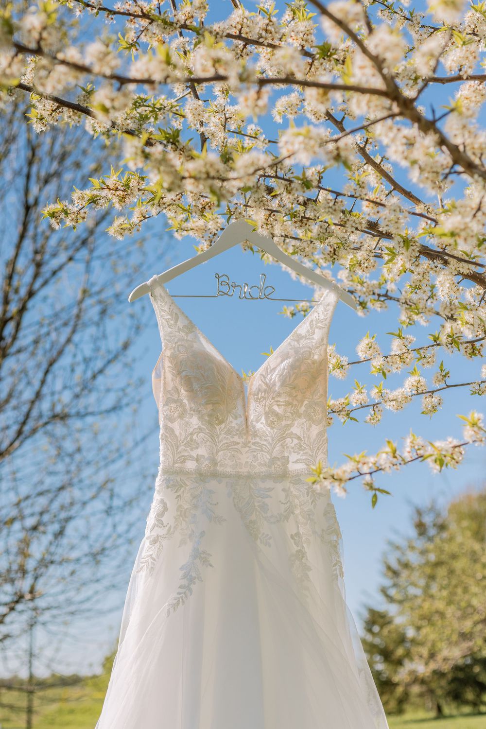 Wedding dress hanging on a bride hanger in a blooming cherry blossom tree against a blue sky.