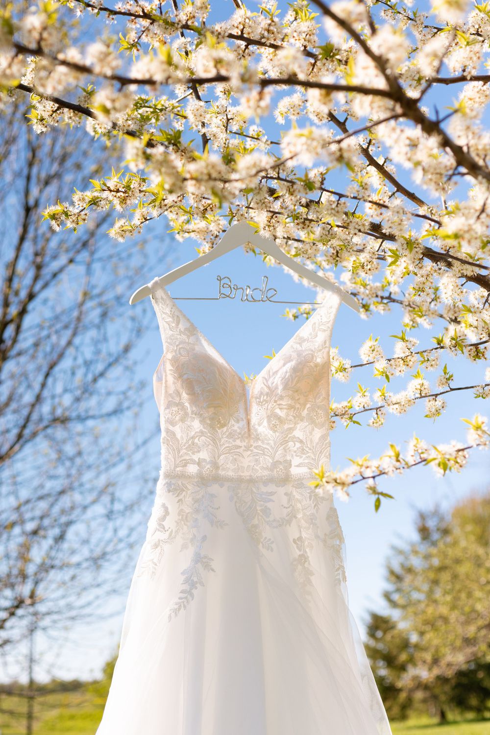 Elegant lace wedding dress hanging on a bride hanger in a blooming cherry blossom tree against a blue sky.