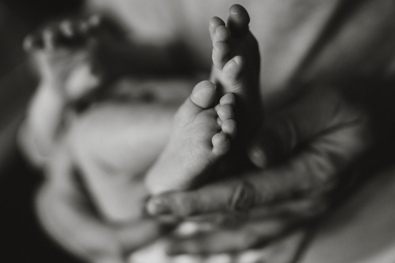 Black and white close-up of an adult hand gently holding a newborn baby's tiny foot.
