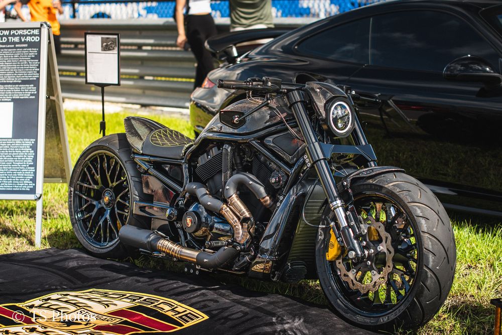 carbon fiber harley
