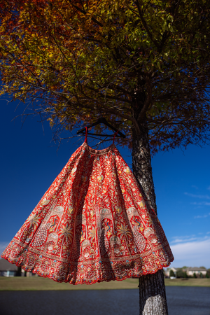 Red and gold patterned wedding lehenga twirls against blue sky and autumn tree in outdoor photo sequence.