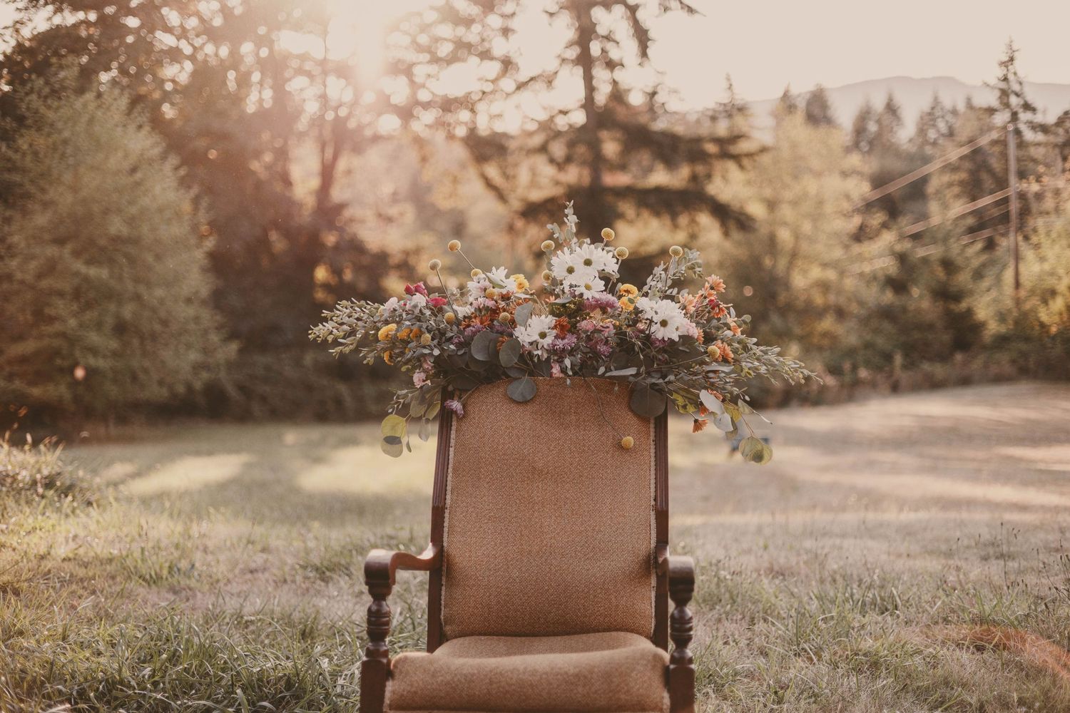 Vintage brown armchair decorated with flowers in outdoor autumn setting.
