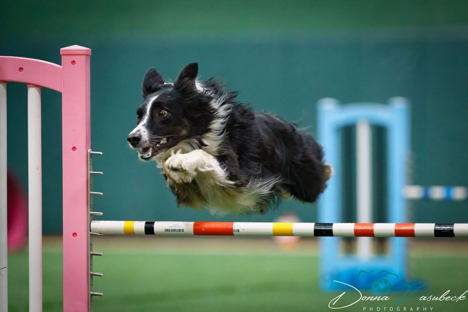 Agility