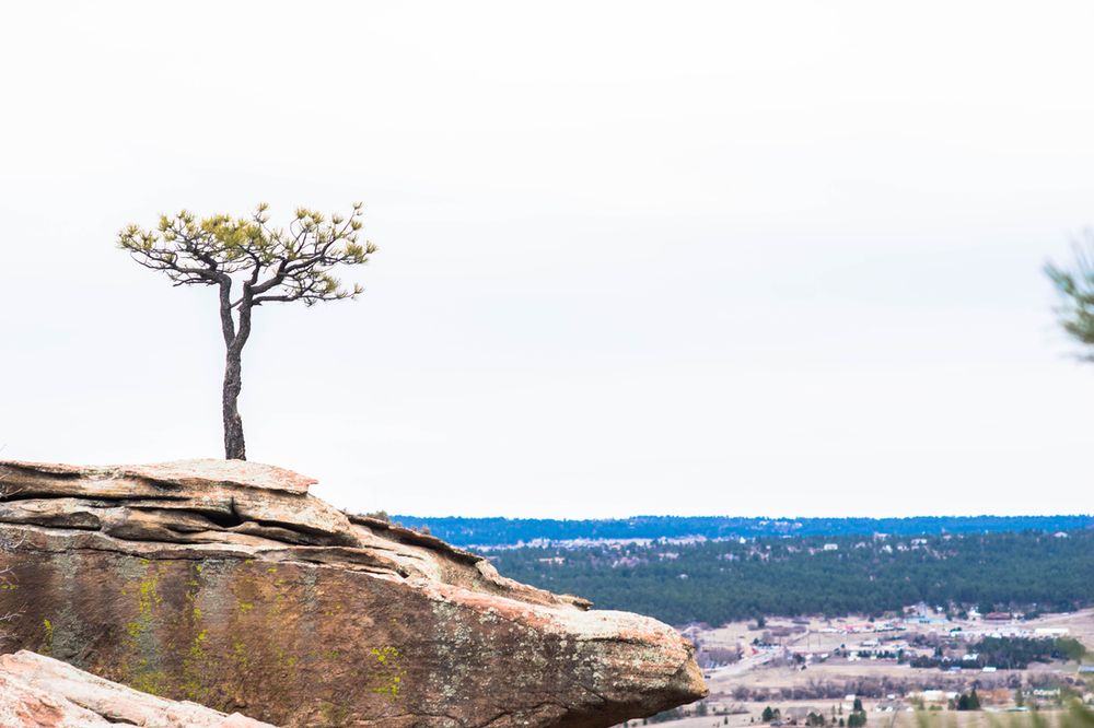 A lone tree stands atop a rocky cliff overlooking a distant valley landscape.