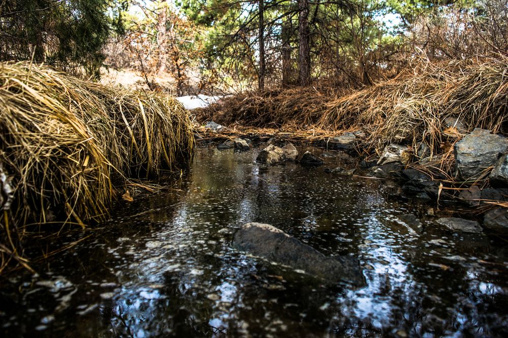 A peaceful winter stream flows through brown reeds and snow-covered rocks in a natural setting.