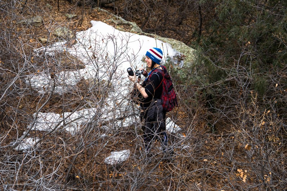 A hiker explores a snow-dusted winter trail through brush and trees.