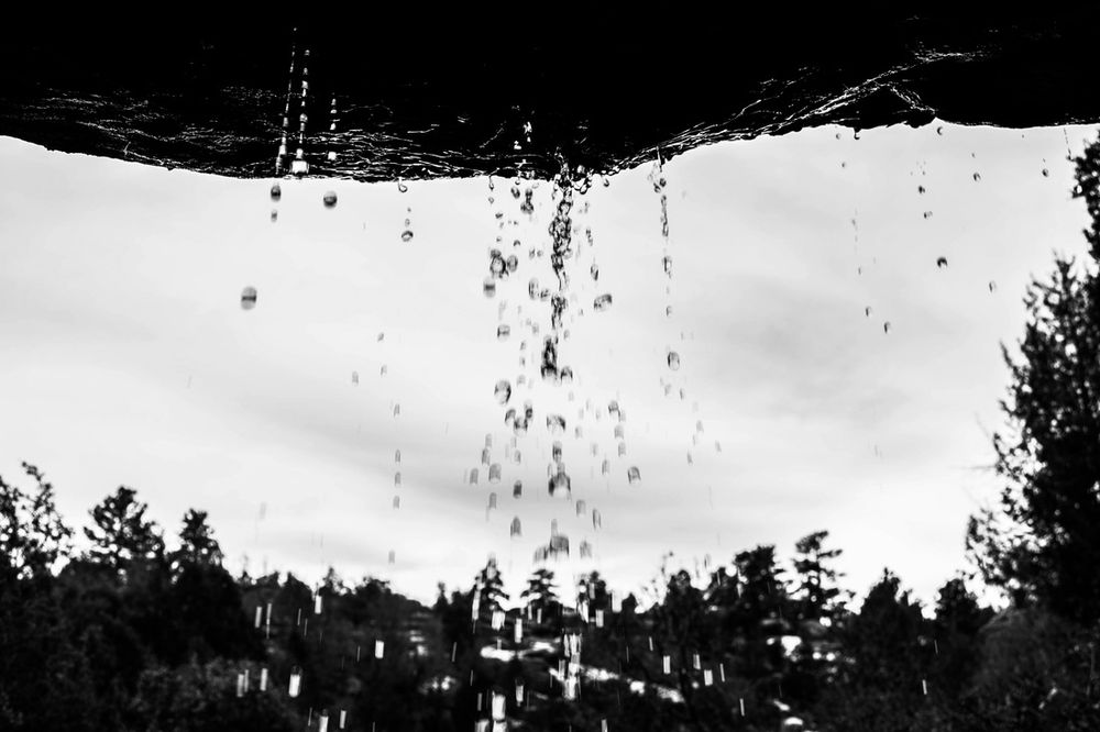 Water droplets fall against a bright sky creating a striking black and white contrast.