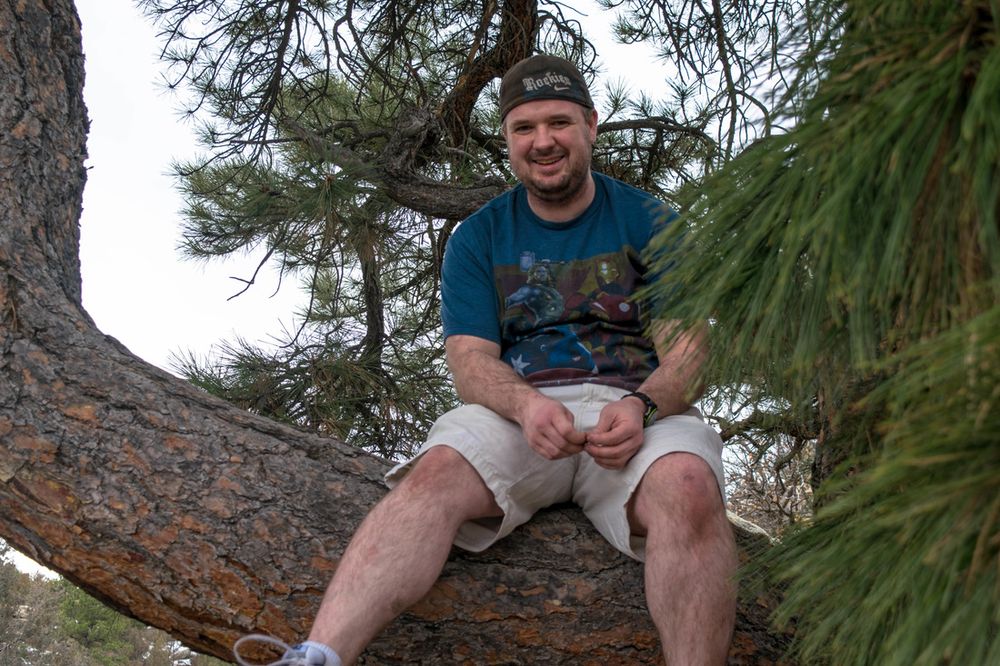 Someone perched on a large pine tree branch in an outdoor setting.
