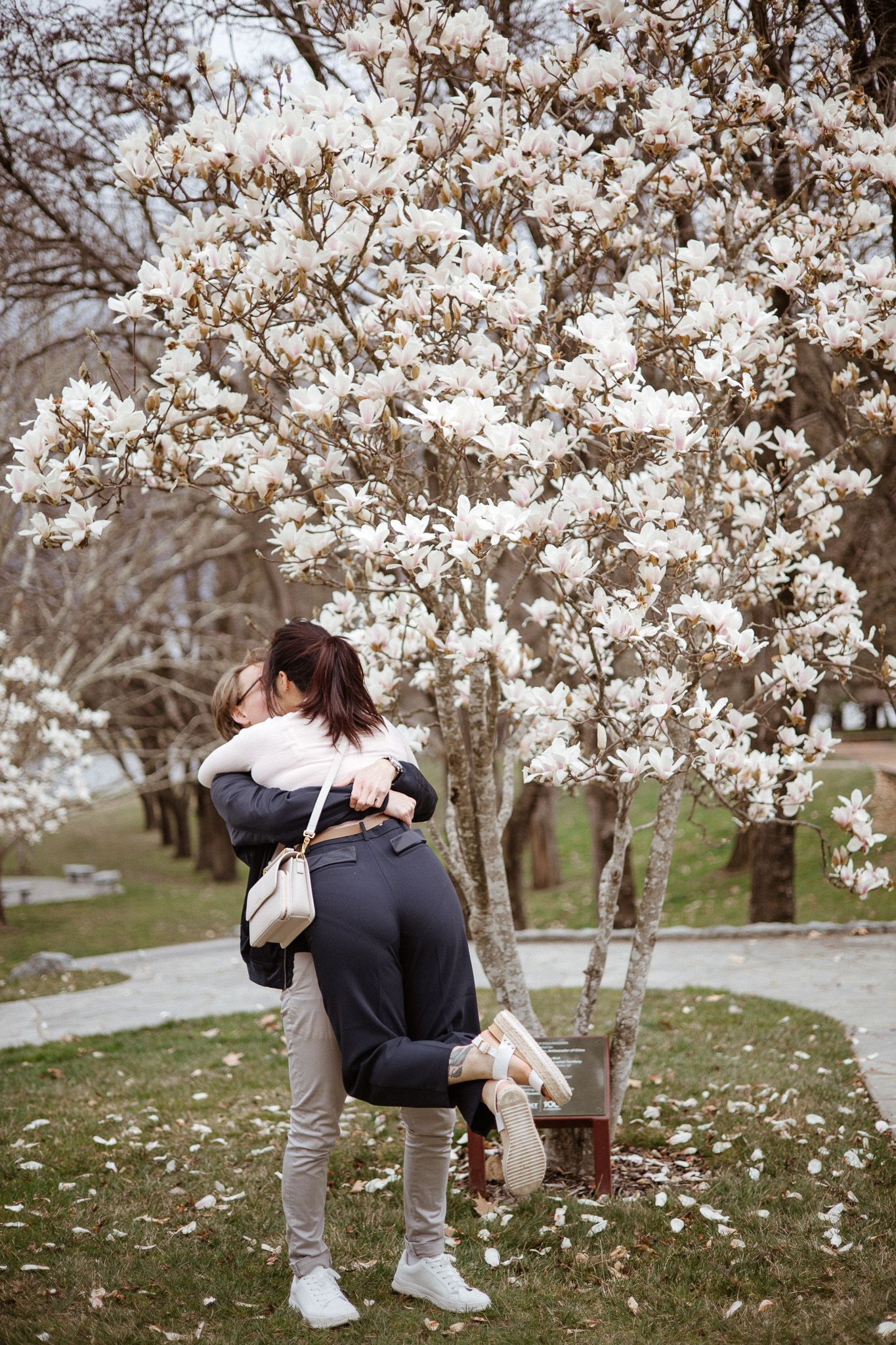 A couple embraces underneath blooming white magnolia trees in a spring garden setting.