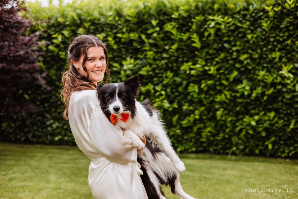 Person in white robe holding a happy Border Collie dog in front of a green garden hedge.