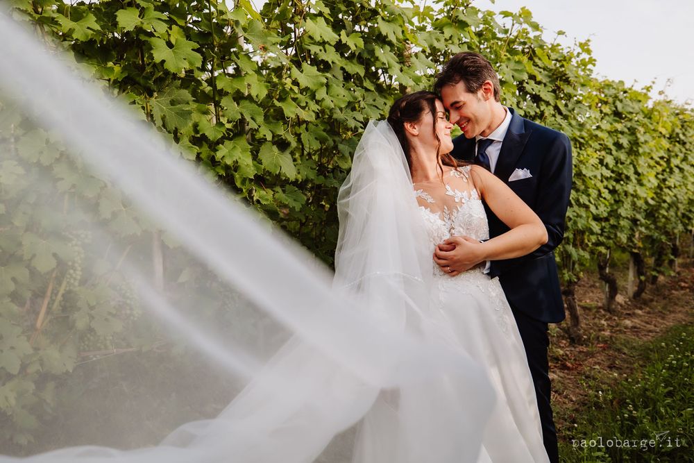 Wedding couple embracing among vineyard rows with flowing veil in sunlight.