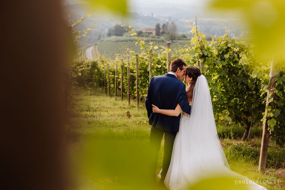 Romantic wedding moment captured through grape vines in a misty vineyard.