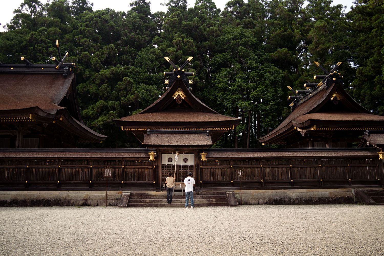 Traditional Japanese shrine buildings with wooden architecture and courtyard.