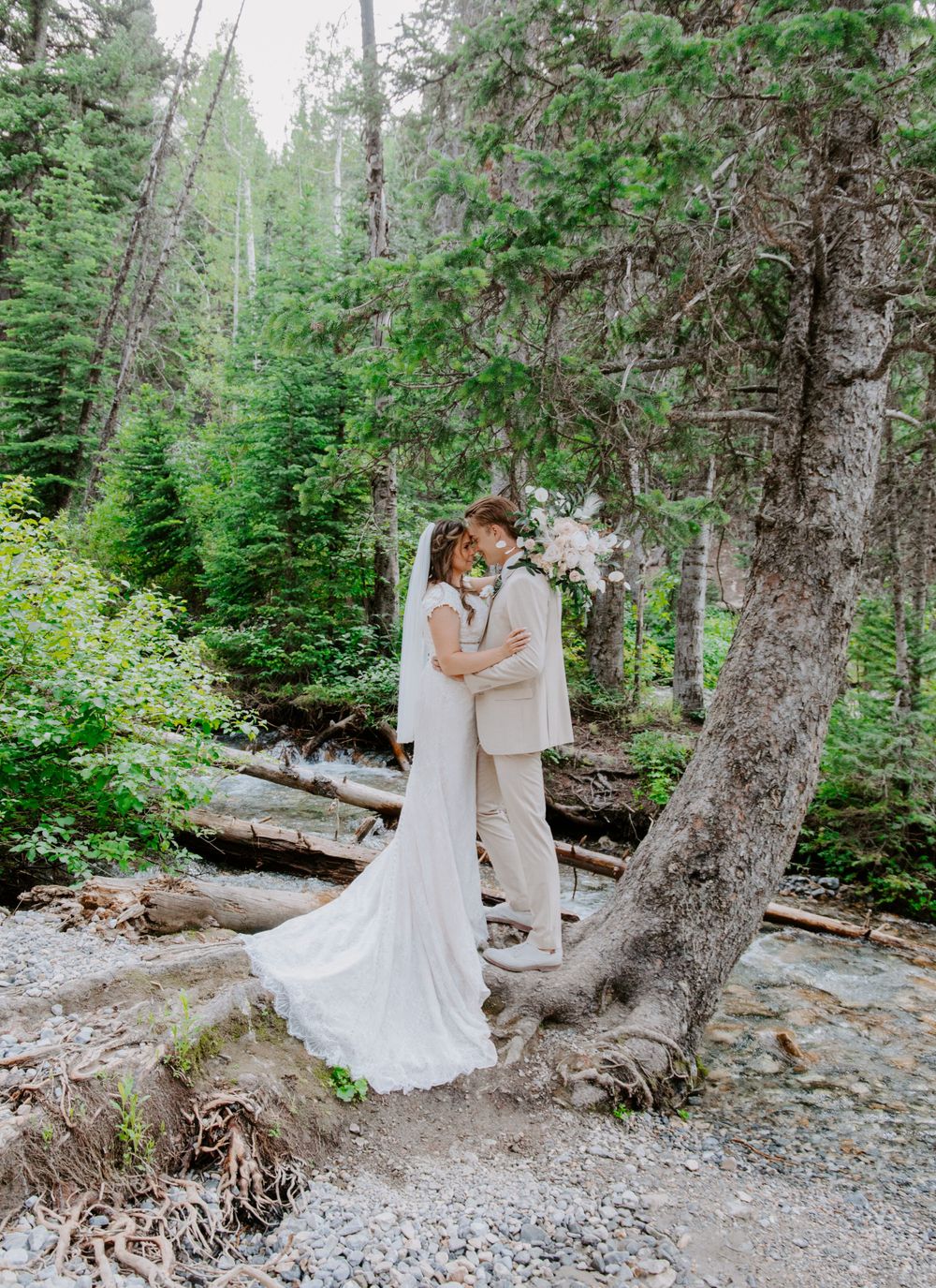 Intimate forest wedding portrait among tall pine trees with natural stone pathway.