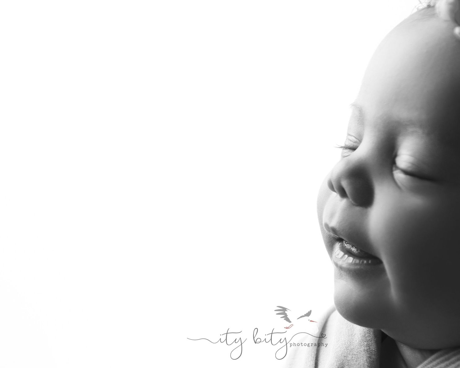 Avon Newborn & Family Photographer Baby Harper Detail Close Ups
