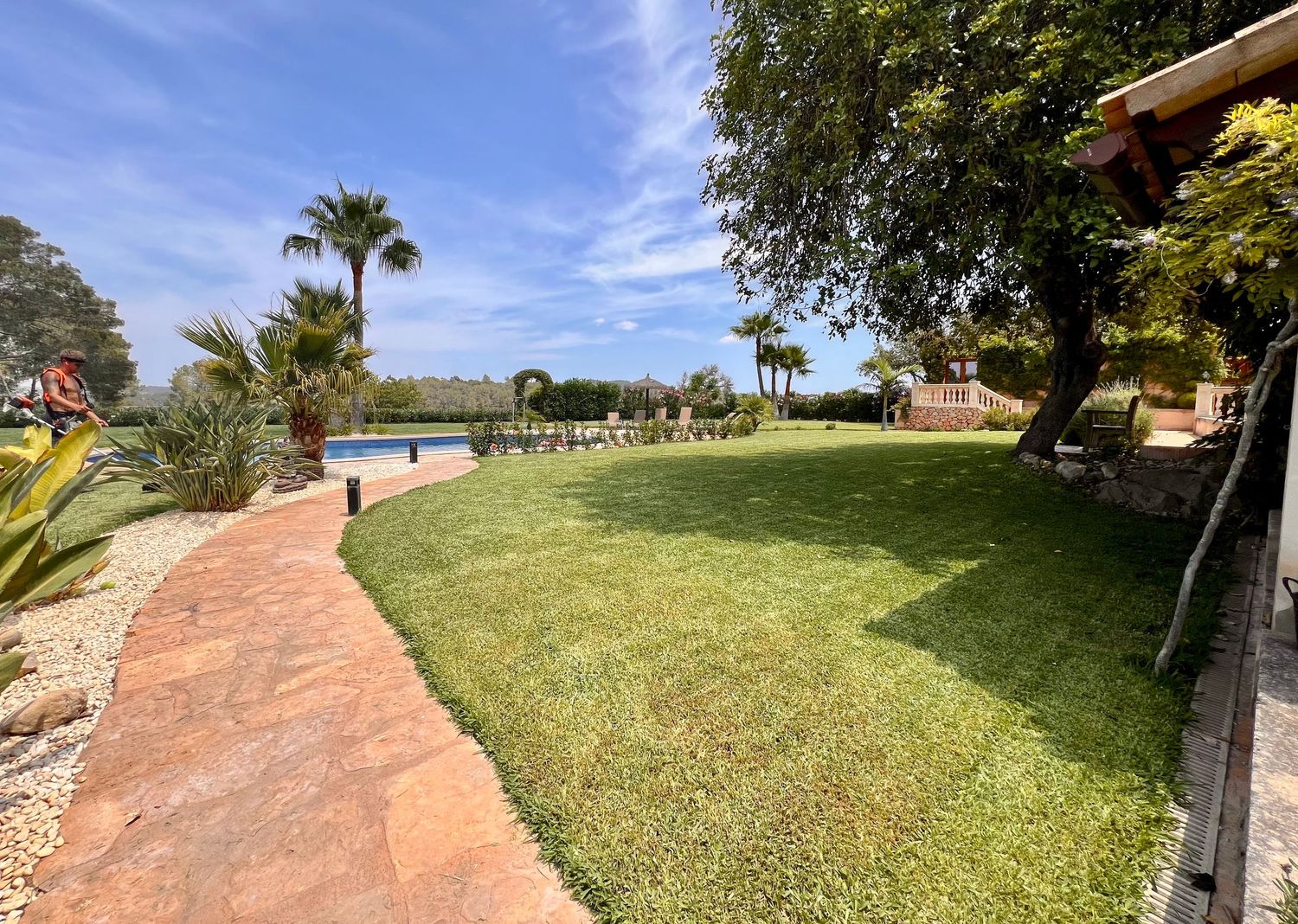 Palm-lined pathway through a lush green lawn with ocean views and brick walkway under bright blue skies.