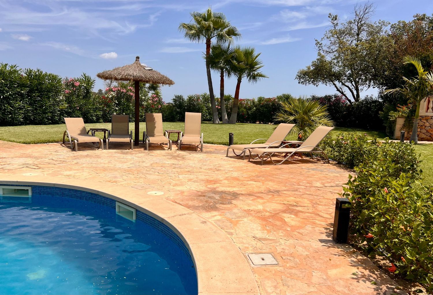 Curved swimming pool with lounge chairs and thatched umbrella surrounded by palm trees and tropical landscaping.