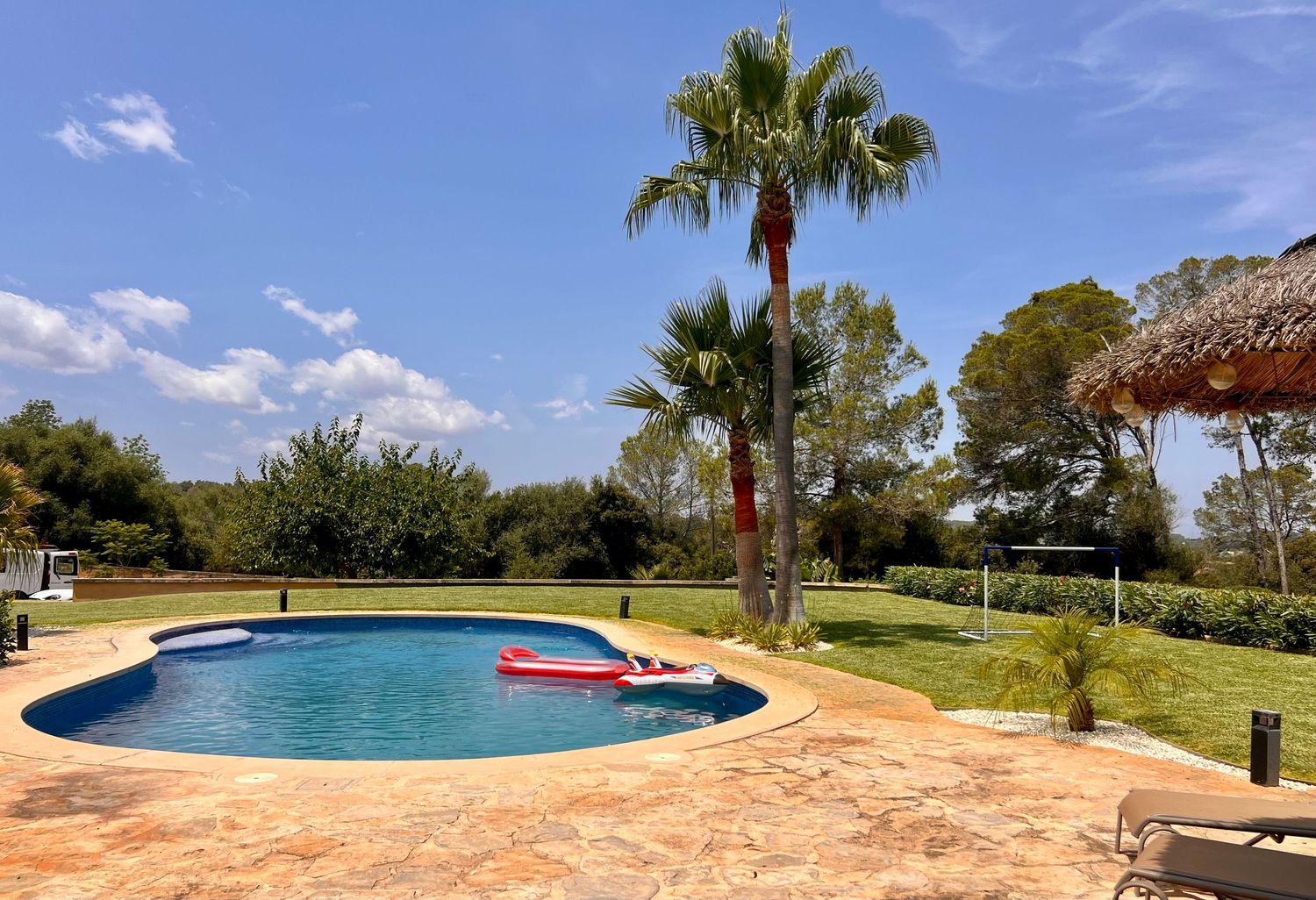 A curved swimming pool with a red float surrounded by palm trees and well-maintained landscaping on a sunny day.