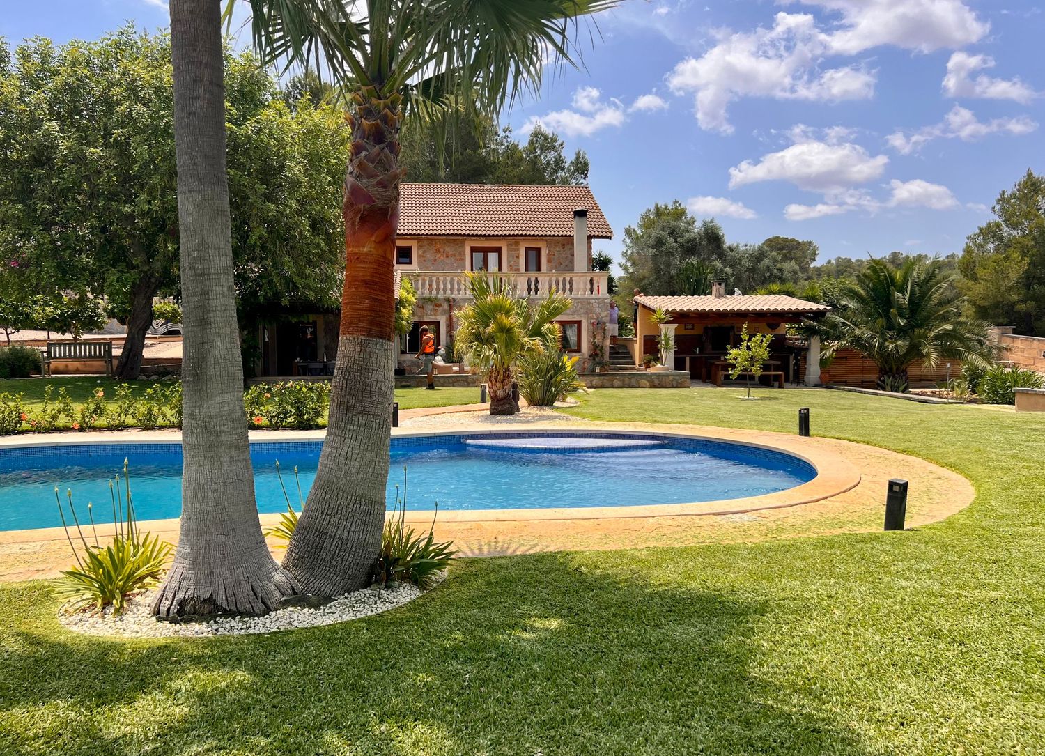 A panoramic view of a sunny backyard with a curved swimming pool, palm trees, and lush green lawn stretches across multiple frames.