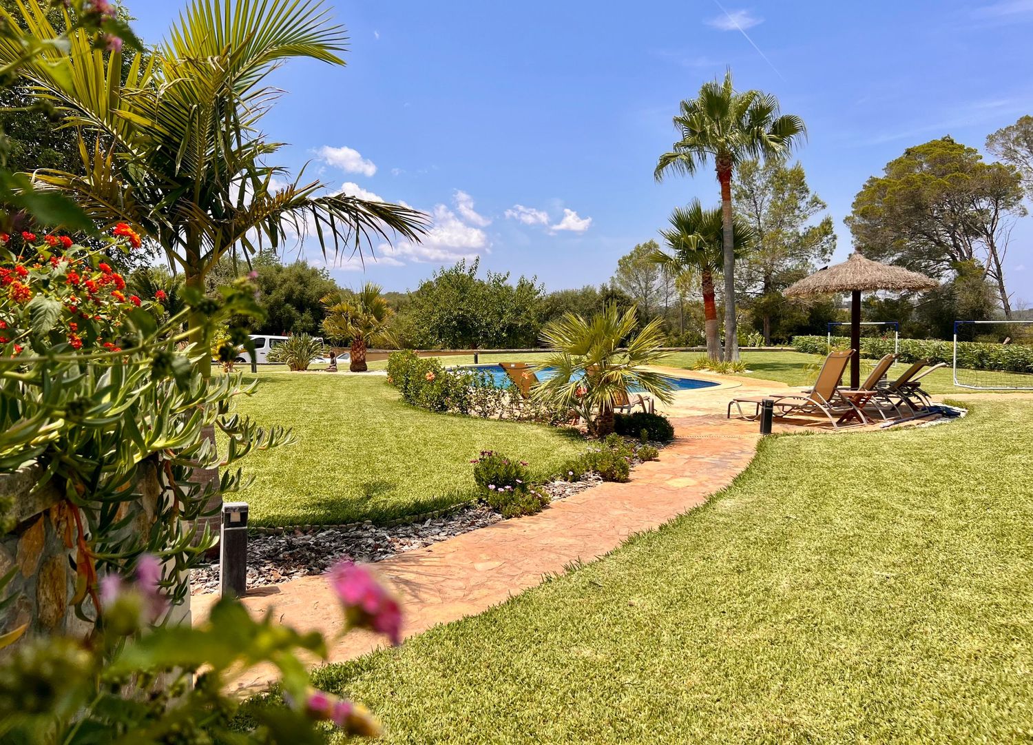 Panoramic view of a tropical garden path with palm trees and lush green lawn under bright blue sky with white clouds.