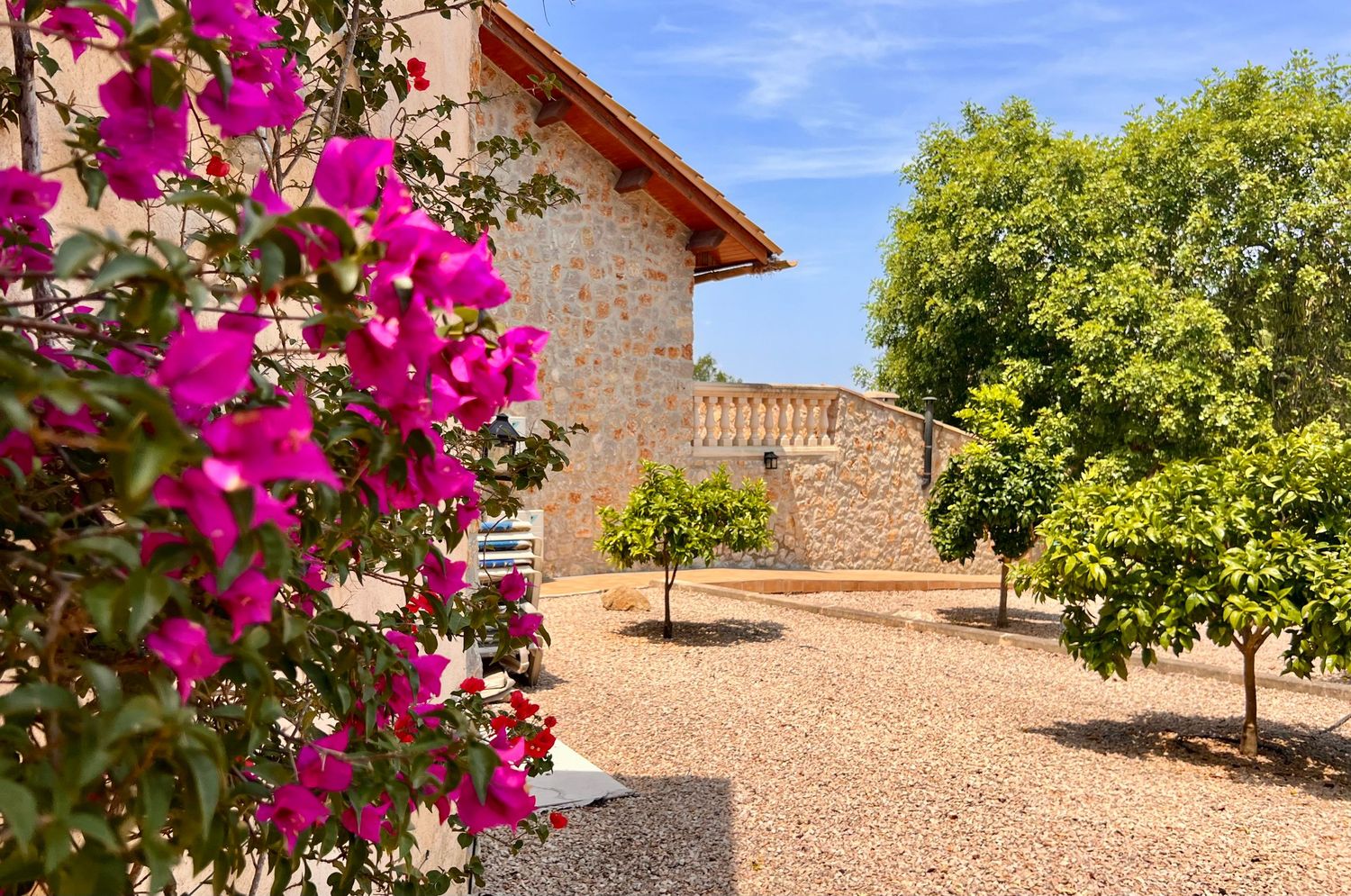 Mediterranean villa courtyard with pink bougainvillea flowers and citrus trees on gravel ground under blue sky.