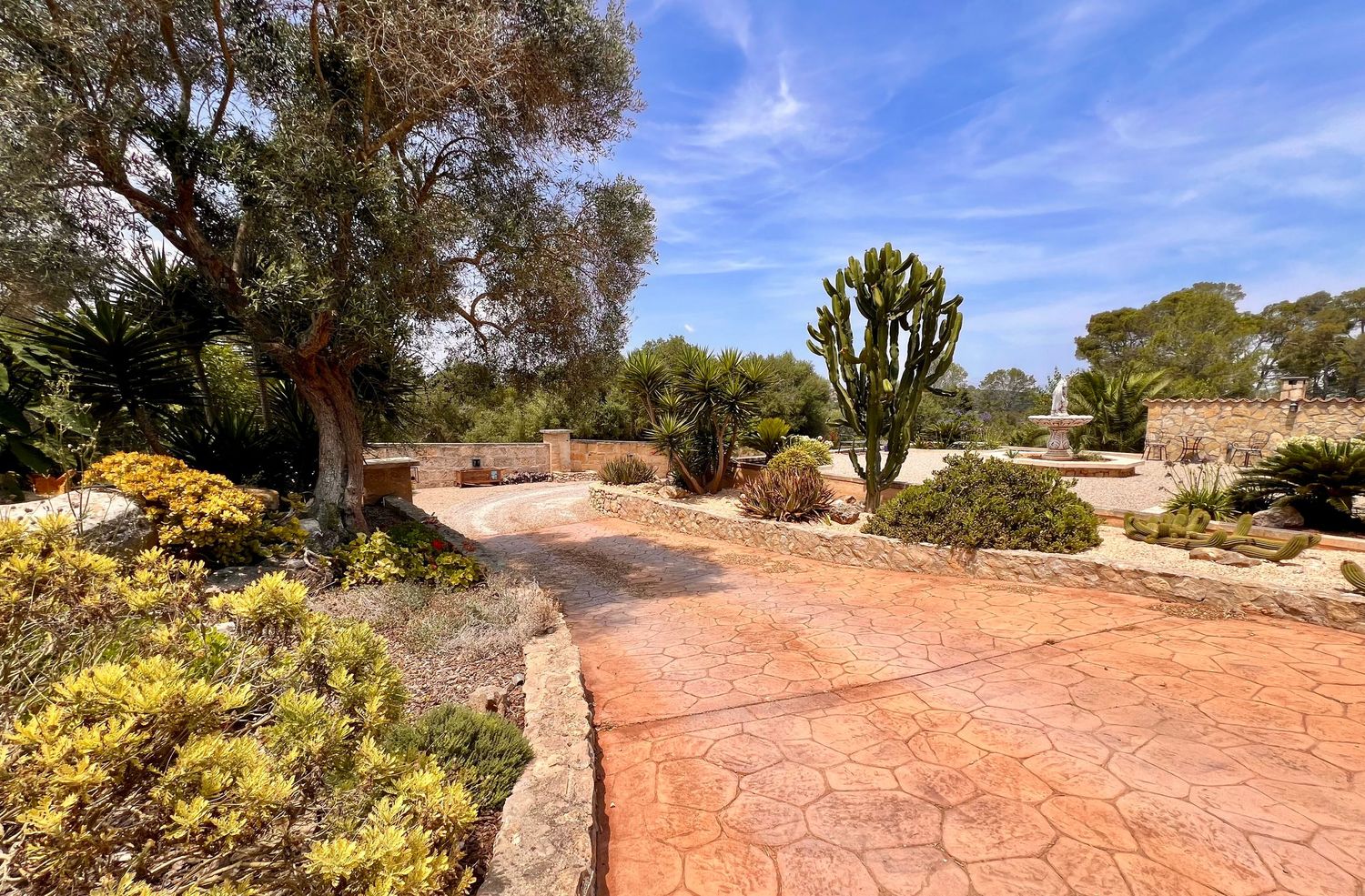 Winding stamped concrete driveway leading through desert landscaping with cacti and native plants.