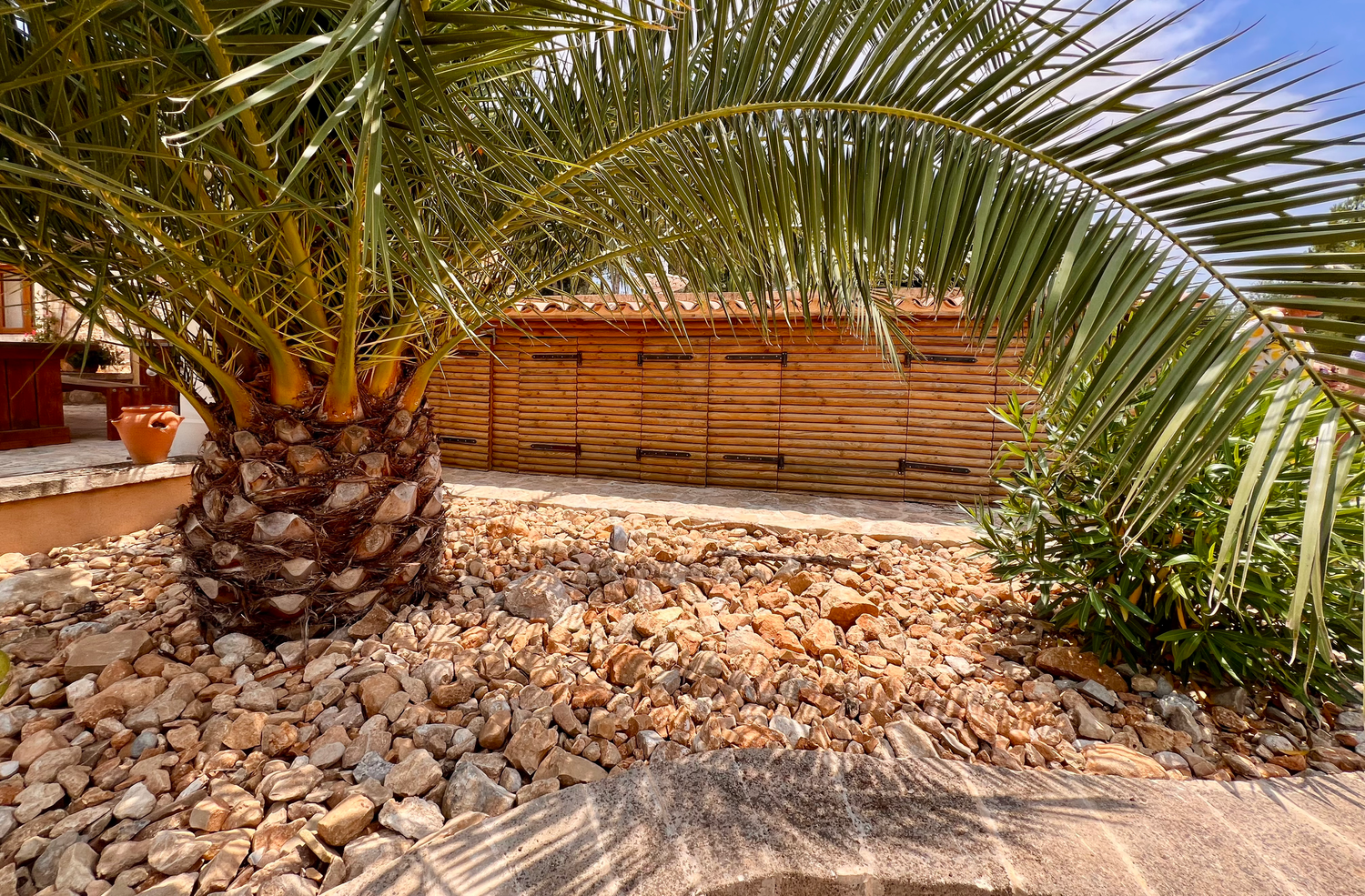 Low angle view of palm fronds against a bright blue sky casting dramatic shadows in a tropical garden setting.