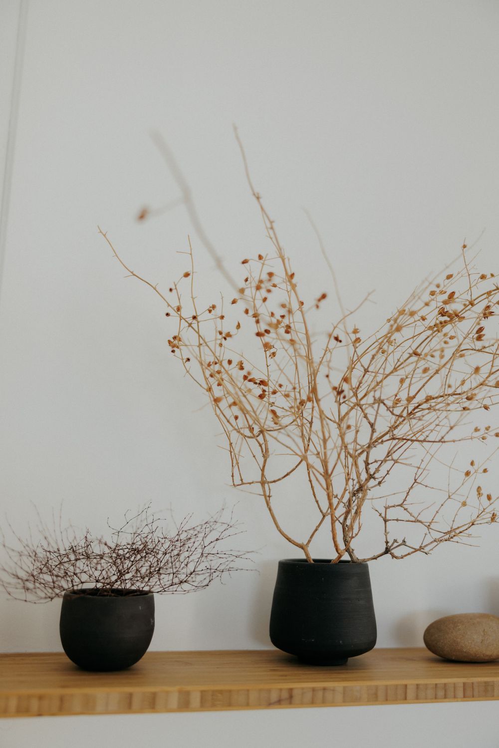 Minimalist home decor featuring black ceramic pots with dried branches on wooden shelf.