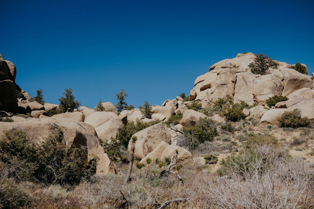 Rocky desert landscape with large granite boulders under clear blue sky in Joshua Tree National Park.