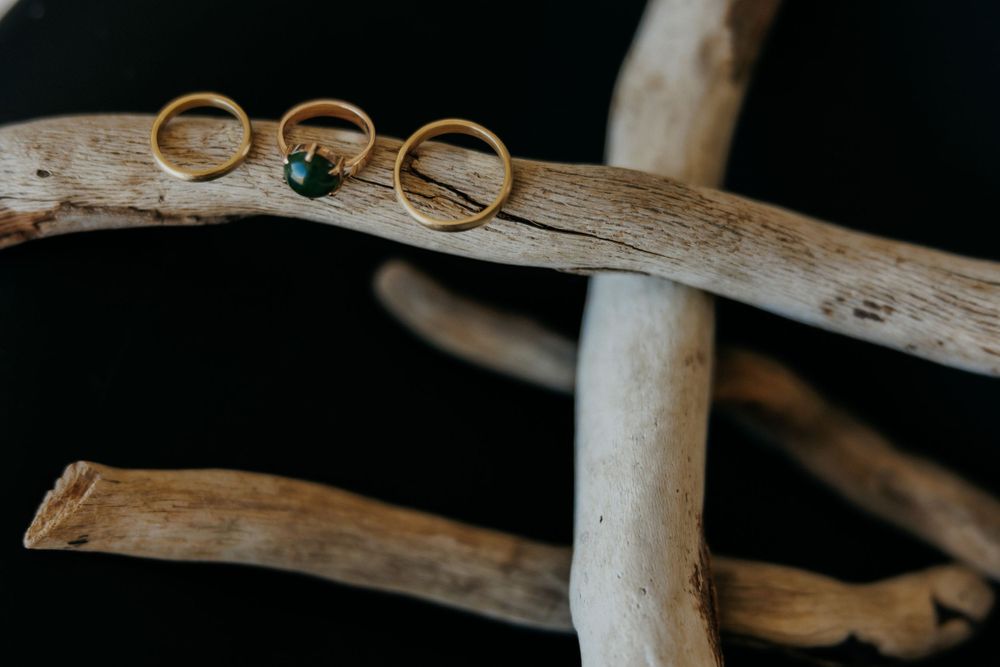 Three gold rings displayed on a piece of natural driftwood against dark background.